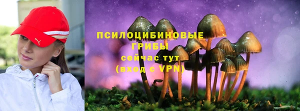 2c-b Белокуриха