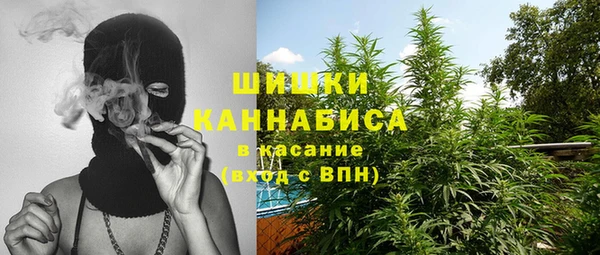 2c-b Белокуриха