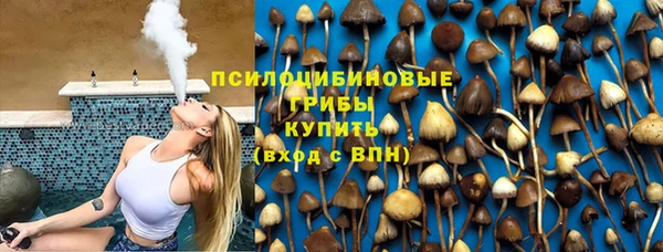 2c-b Белокуриха